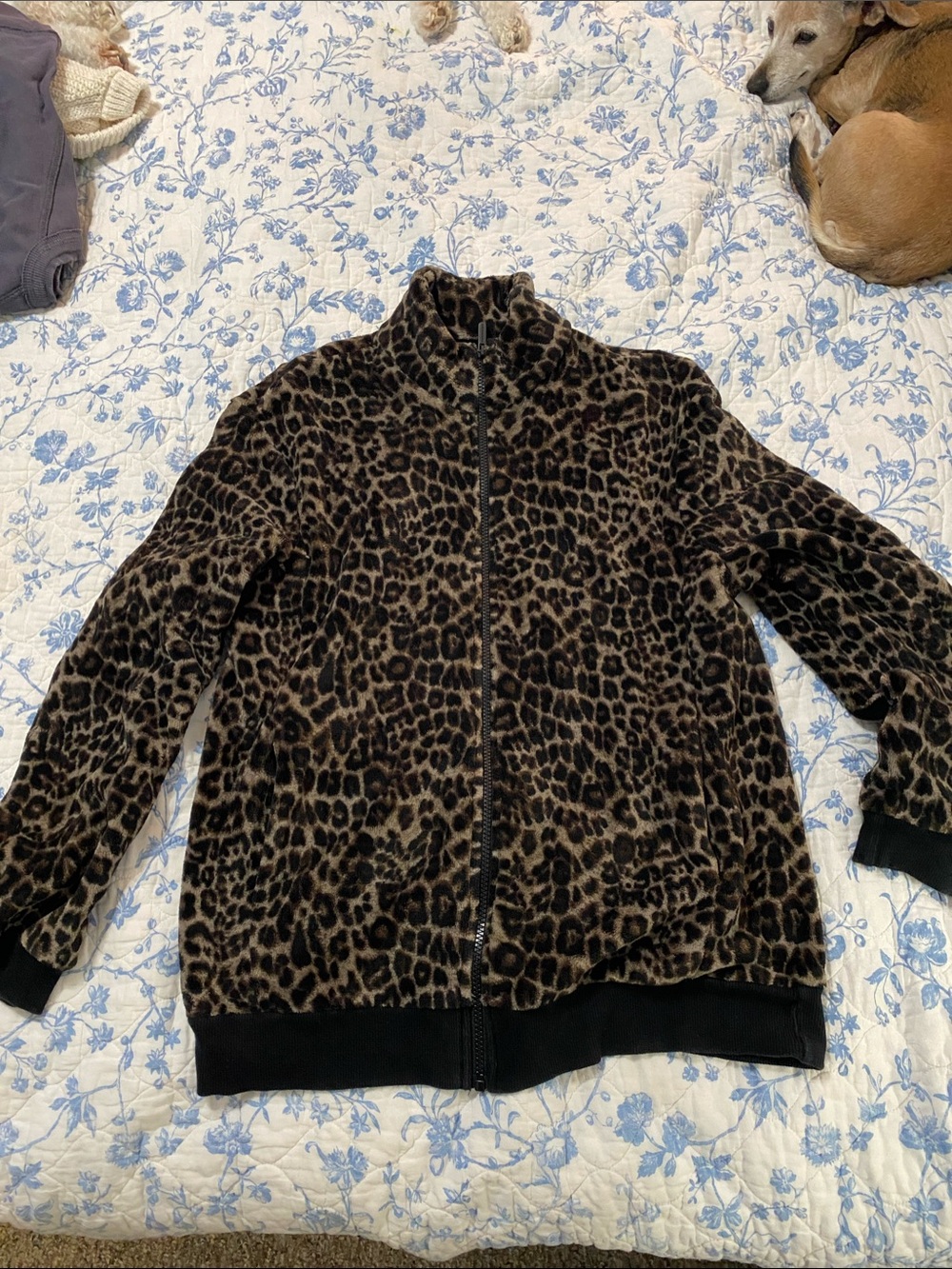 intimissimi Leopard-Print Full-Zip Bomber Jacket - Brown/Black